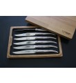 6 Laguiole En Aubrac blankt stainless steel steakknive